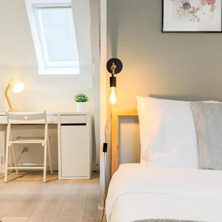 Vieux Functional Triplex Rijsel