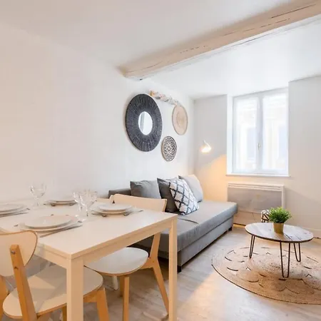 Vieux Functional Triplex * Lille